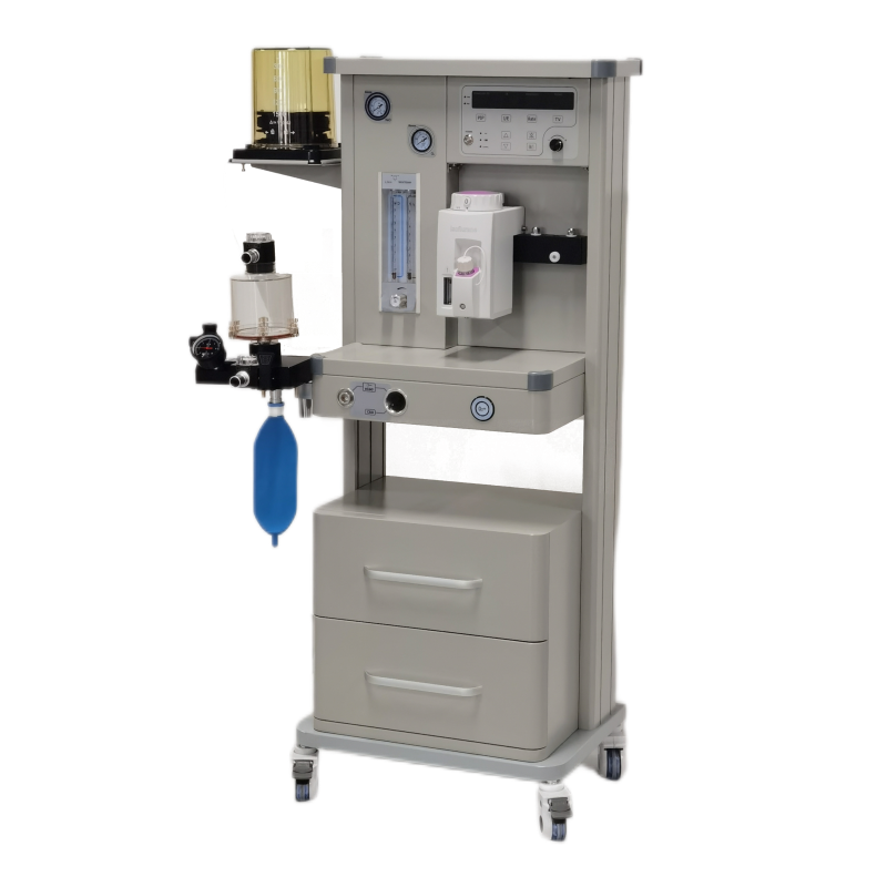 Causes and Management of Respiratory Abnormalities During Animal Anesthesia
